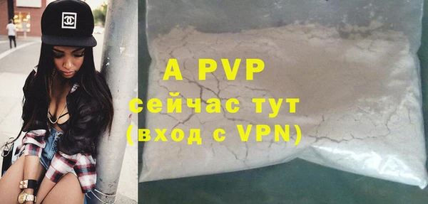 ПСИЛОЦИБИНОВЫЕ ГРИБЫ Кукмор