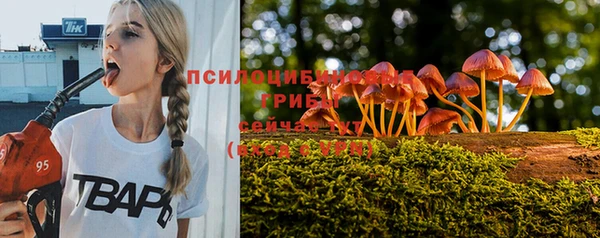дурь Кулебаки