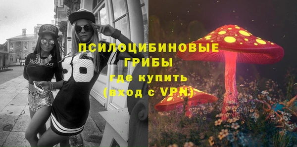 ПСИЛОЦИБИНОВЫЕ ГРИБЫ Кукмор
