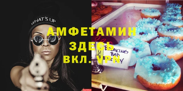 ПСИЛОЦИБИНОВЫЕ ГРИБЫ Кукмор