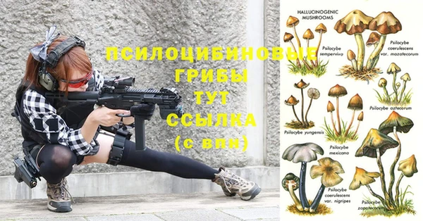 дурь Кулебаки