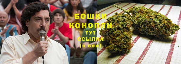 ПСИЛОЦИБИНОВЫЕ ГРИБЫ Кукмор