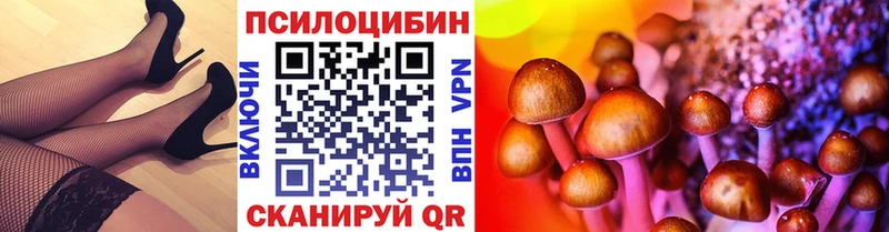 Псилоцибиновые грибы Cubensis  Купить где  Нурлат 